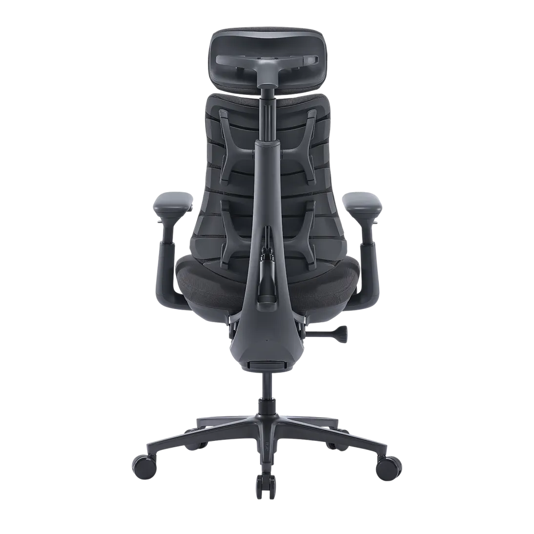 OMNI PRO, фото